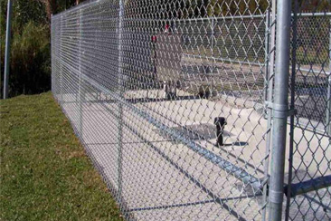 �w����(ch��ng)